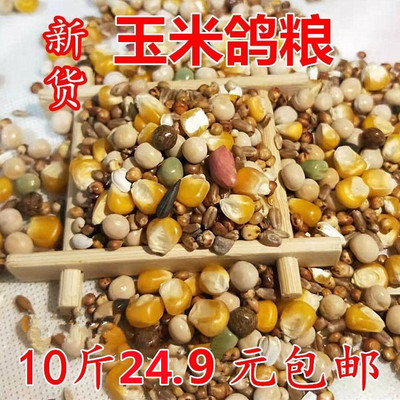 2025年玉米鸽粮赛飞营养饲料鸟食10斤信鸽观赏鸽肉鸽鸽子食鸽粮