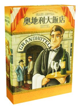 奥地利大饭店桌游休闲聚会游戏