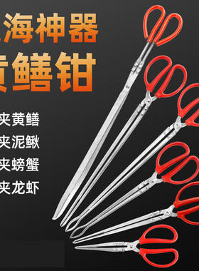 专业赶海装备黄鳝夹子抓黄鳝神器泥鳅螃蟹抓鱼钳工具不锈钢垃圾夹