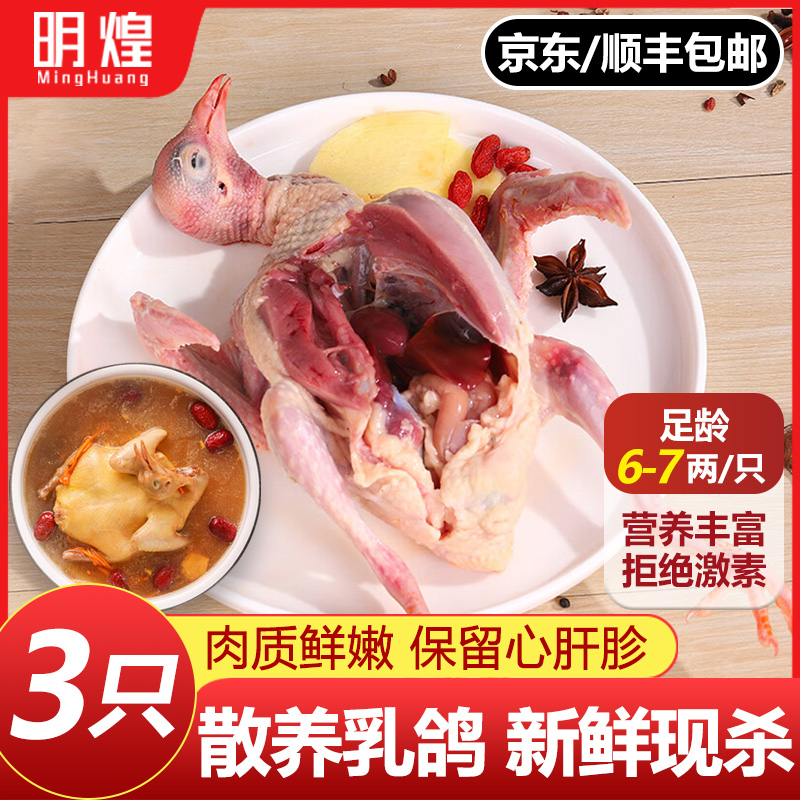 鸽子新鲜现杀非老鸽子土鸽子农家散养非活体鸽子肉炖汤乳鸽生鲜