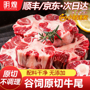 3斤新鲜牛尾巴牛尾骨新鲜整根黄牛尾新鲜牛尾骨宝宝辅食现杀牛肉