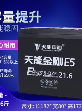 天能E5金刚20AH32AH45AH电瓶