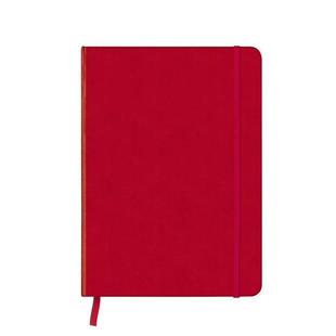 22cm 现货 Medium Red 英文文创笔记本NotebookTeneuesteNeues进口原版 笔记本 Rose 中号 书97816016 红色CoolNotes Argyle