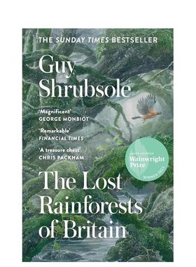 【现货】【神奇制作】蝴蝶套装【INCREDIBUILDS】BUTTERFLY 3D WOOD MODEL英文儿童趣味INSIGHT EDITIONS 精装Incredibuilds3-6岁