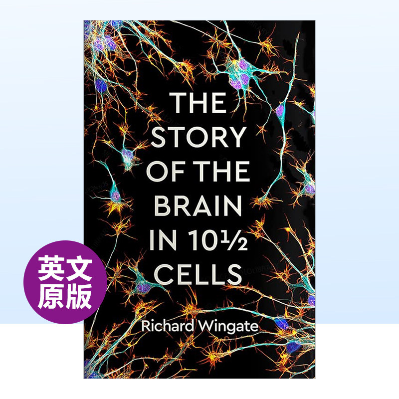 101/2个细胞中大脑的故事