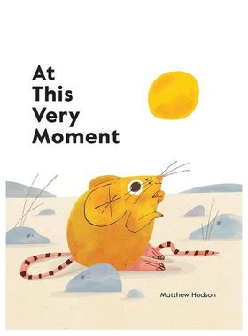 【现货】在这个非常的时刻At This Very Moment英文儿童绘本动物生态环保Matthew Hodson精装Cicada6-9岁进口原版书9781908714923