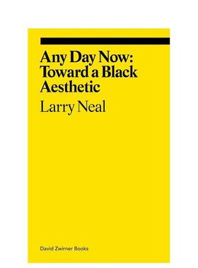 【预售】随时随地 走向黑色美学【Ekphrasis】Any Day Now英文艺术总论历史理论评论Larry NealDavid Zwirner平装进口原版书97816