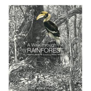 Walk 书9781 6岁进口原版 White精装 现货 漫步雨林A Walker the Through UK3 Rainforest Books 英文儿童绘本动物生态环保Vicky
