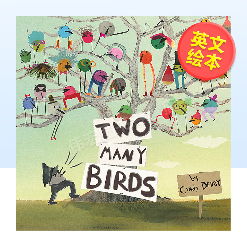 【现货】再多两只鸟英文儿童绘本虚构类进口原版书精装Two Many Birds Cindy Derby著Roaring Brook出版