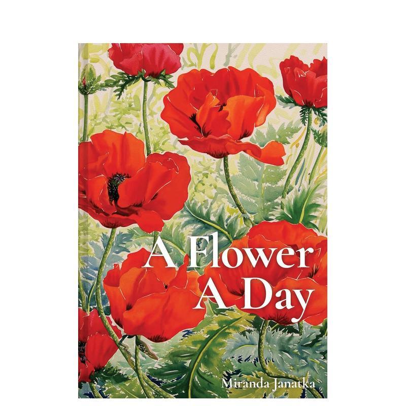 一天一朵花 a Flower