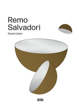 【预售】雷莫萨尔瓦多里Remo Salvadori英文艺术家艺术工作室Studio Celant精装Skira Editore进口原版书9788857253046