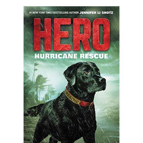 英雄:飓风营救 Hero: H