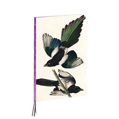 【预售】奥杜邦喜鹊A4笔记本Magpies， James Audubon A4 Notebook英文文创笔记本NotebookJohn James Audubon笔记本teNeues进口原
