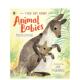 Walker ... 了解动物 Babies英文儿童绘本动物生态环保Martin 宝宝Find Animal 现货 Books About 6岁进口 Out UK3 Jenkins平装