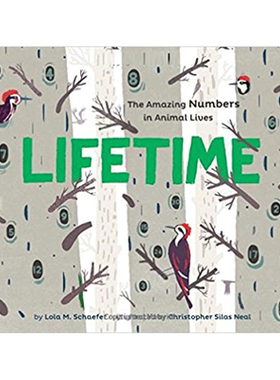 【预售】寿命英文儿童绘本知识百科进口原版外版书平装3-6周岁Lifetime: The Amazing Numbers in Animal LivesLola M. Schaefer