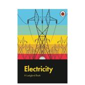 书Ladybird9780241416945 现货 Electricity英文青少年读物9 电力 Book Ladybird进口原版 Ladybird 12岁精装