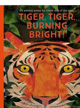 【现货】【诗歌插画集】老虎 经典英文诗歌 Britta Teckentrup插画版【Poetry Collections】Tiger英文儿童绘本IP系列Britta Teck
