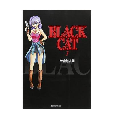 【现货】BLACK CAT 黑猫 爱藏版 3中文繁体漫画矢吹 健太朗平装东立进口原版书9786260239251