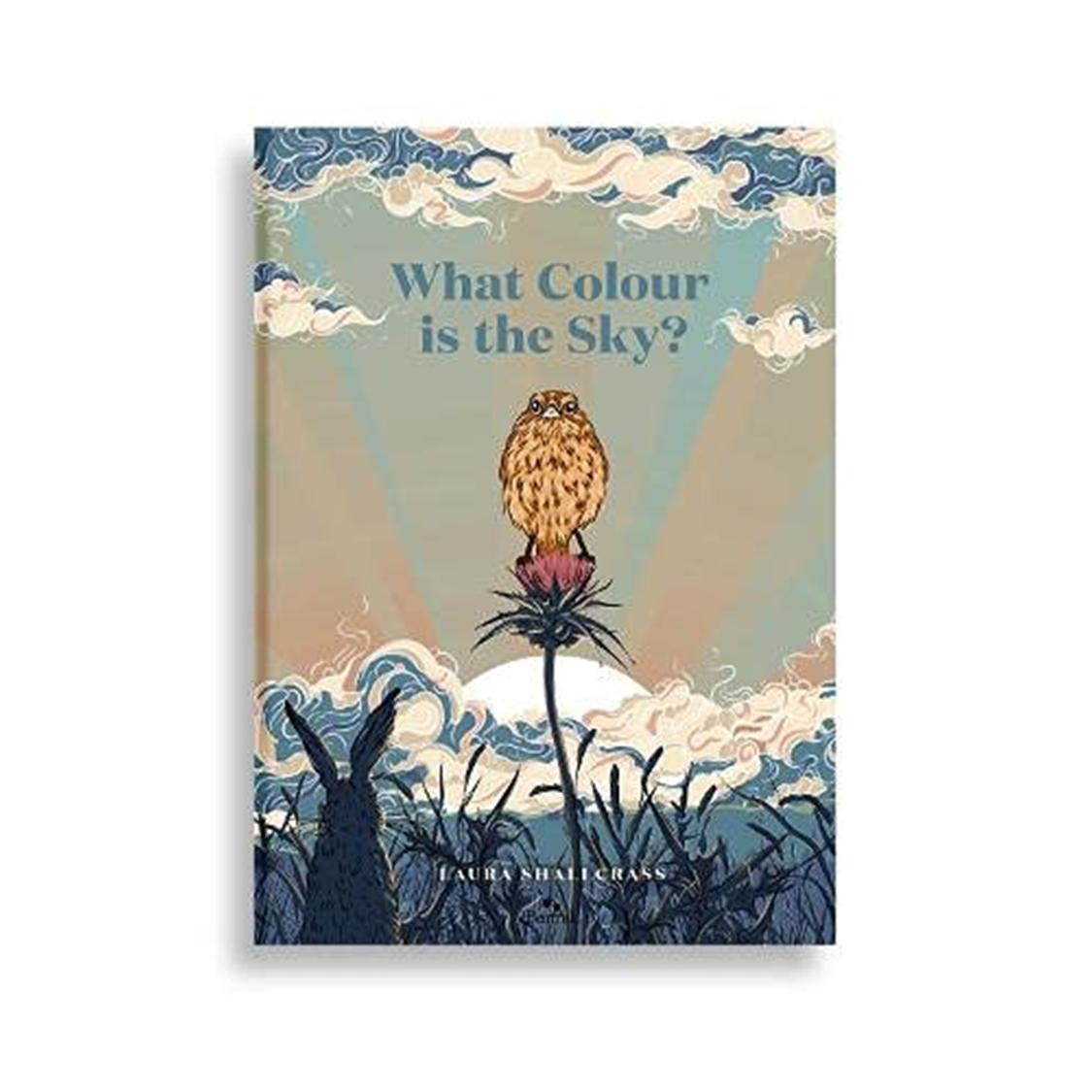 天空是什么颜色的？ What