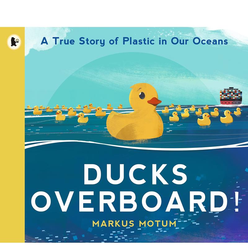 鸭子出国真实的小黄鸭