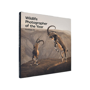 图书Wildlife Photographer Portfolio 预售 Year 年度野生动物摄影大赛获奖作品：合集33英文摄影自然景观进口原版 the