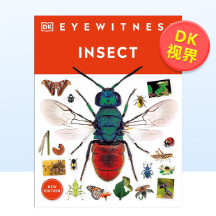 动物 环保 售 外版 Eyewitness 生态 进口原版 预 Insect 英文儿童绘本 书籍 DK视界 昆虫