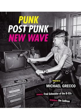 【现货】朋克后朋克新浪潮舞台后台在你的脸上1977-1989Punk Post Punk New Wave Onstage Backstage In Your Face 1977-1989英文