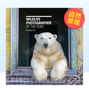 Photographer 现货 书精装 Portfolio 32英文摄影自然景观进口原版 Year 年度野生动物摄影师：作品集 外版 the Wildlife