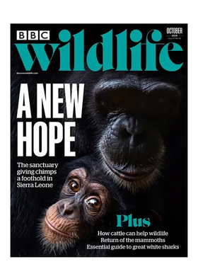 【现货】【单期】BBC WILDLIFE(UK)2024年11期 OCT-24 NO 522英文学术科普杂志进口原版Immediate Media
