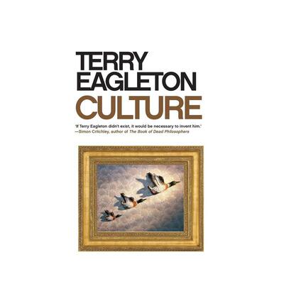 【预售】文化Culture英文人文历史Terry Eagleton简装Yale University Press进口原版书9780300270617