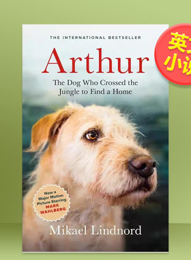 【预售】亚瑟：穿越丛林寻家狗英文文学小说进口原版外版书简装14岁以上The Dog who Crossed the Jungle to Find a Home Mikael