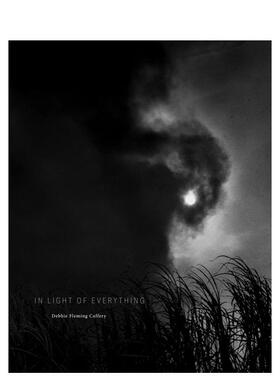 【预售】万物之光英文摄影摄影师专辑进口原版外版书精装14岁以上Debbie Fleming Caffery: In Light of Everything Debbie Flem