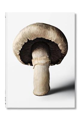 【预售】伦敦美食文化杂志The Gourmand美食家蘑菇故事&食谱集The Gourmand's Mushroom. A Collection of Stories英文餐饮Gourma