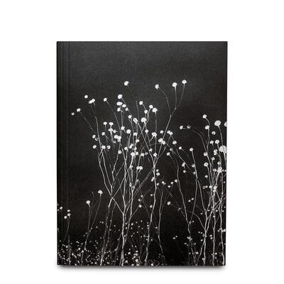 【预售】不可思议英文摄影师专辑进口原版书The Uncanny by Léonard Pongo平装14岁以上Léonard PongoGOST