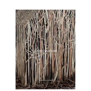 Salcedo英文艺术家艺术工作室Seloua Luste Boulbina精装 Cantz进口原版 多丽丝萨尔塞多Doris Hatje 书9783775754934 现货