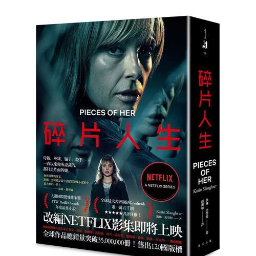 碎片人生（NETFLIX影集封