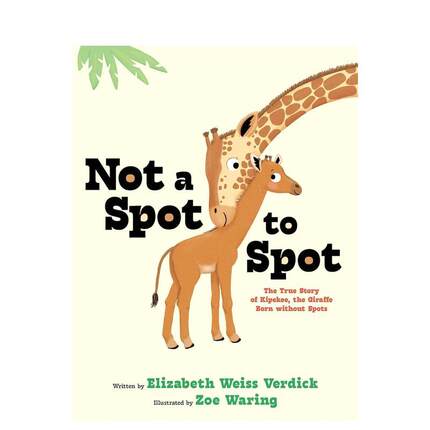 【现货】无处可寻Not a Spot to Spot英文儿童绘本虚构类Elizabeth Weiss Verdick精装Beach Lane Books进口原版书9781665962025