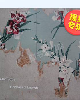 【现货】收集叶子英文*影集*影师专辑进口原版书14岁以上Gathered Leaves Alec Soth著MACK出版