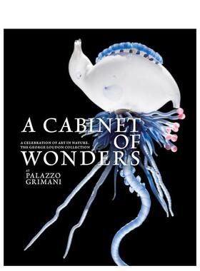 【预售】自然奇观艺术柜天地大美集珍A Cabinet 英文艺术家艺术工作室Dr Thierry Morel精装Fontanka进口原版书9781906257453