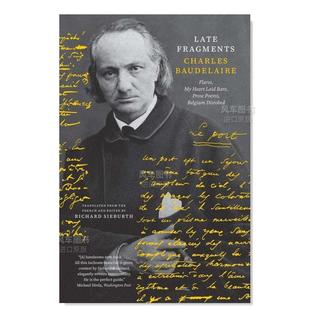 Flares 晚期碎片：耀斑 散文诗 心 比利时英文文学诗歌进口原版 Fragments Late 赤裸 书简装 外版 Heart 可怜 预售