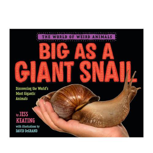 像巨蜗一样大 Big as a
