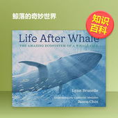 书精装 现货 Chin 奇妙世界英文儿童绘本知识百科进口原版 凯迪克获奖插画师Jason After 6周岁Life 鲸落 外版 WhaleLy