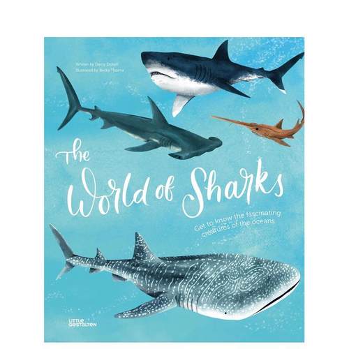 鲨鱼的世界：探索海洋奇妙生物