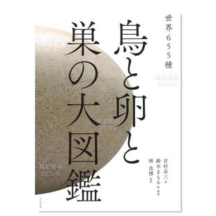 预 大図鉴日文艺术综合原版 世界655种 鸟と卵と巣 世界655种鸟卵巢大图鉴 图书进口外版 书籍吉村卓三ブックマン社 售