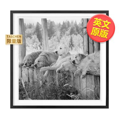 【预售】【TASCHEN限量版】布鲁斯韦伯金毛摄影协会英文摄影精装进口原版书【Art Edition】Bruce Weber. The Golden Retriever