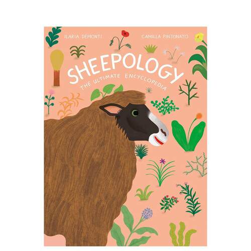 绵羊学：视觉百科 Sheepo