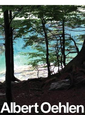 【现货】艾伯特-欧伦 新的绘画作品Albert Oehlen英文外国美术当代Daniel Baumann Page精装Rizzoli进口原版书9780847845620