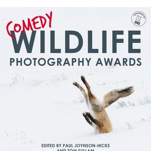 Photography Bonnier 搞笑野生动物摄影奖英文摄影自然景观进口原版 Hicks Joynson AwardsPaul Wildlife Comedy 图书精装 现货