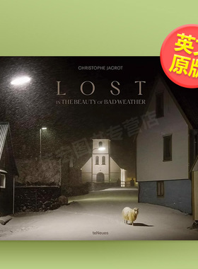 极端天气的城市之美永远的索尔雷特斯蒂芬肖尔Stephen McLaren摄影集可拍多册英文专辑进口原版书Lost in the Beauty o