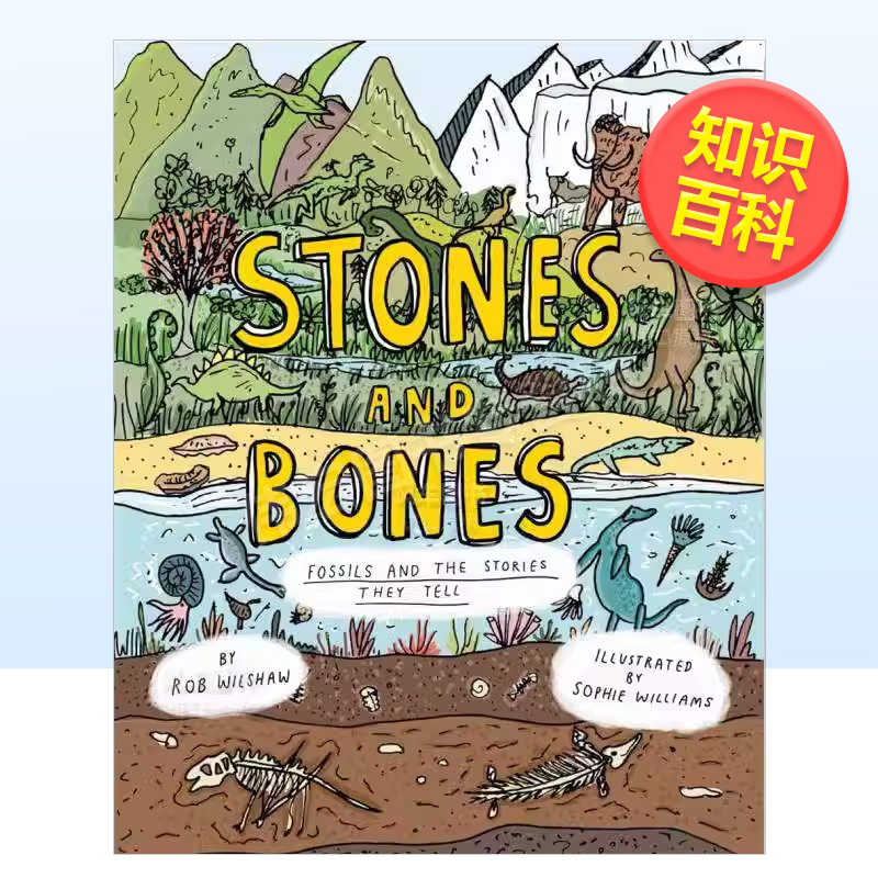 【现货】石头和骨头：化石的故事英文儿童绘本知识百科进口原版外版书精装3-6周岁Stones And Bones Fossils: And The Stories T